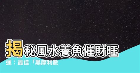 黑摩利數目|黑摩利與風水(上)